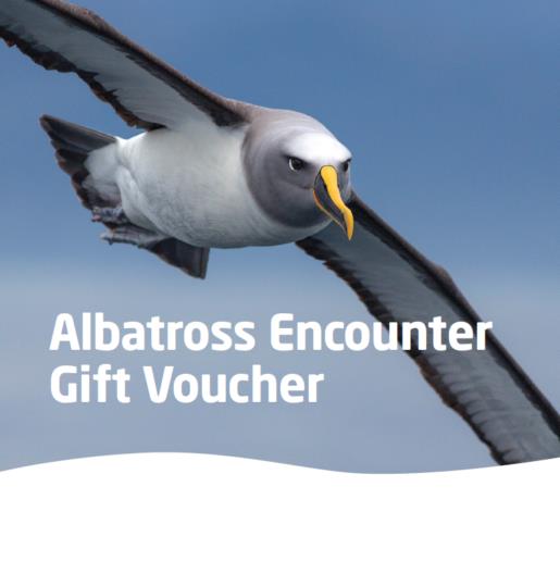 Albatross Encounter Gift Vouchers