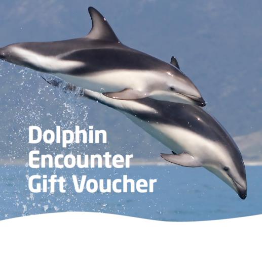 Dolphin Encounter Gift Vouchers