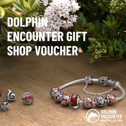 $10 Retail Gift Voucher