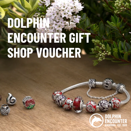 $50 Retail Gift Voucher