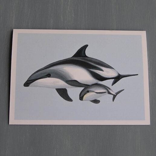 Card - Dusky Dolphin Mother and Calf